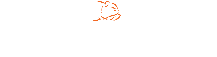 bb_bandit_logo